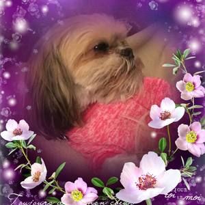 Meet your Posher, Cathia